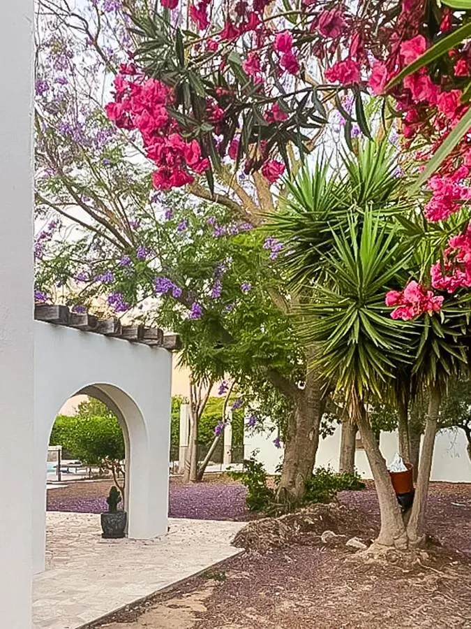 Only Families Villa And Guest House With Private Pool Chiclana de la Frontera Holiday home